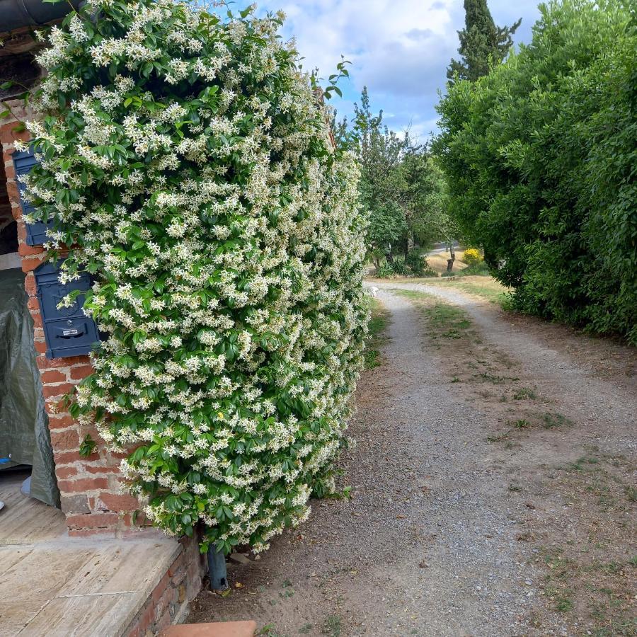 Podere Casalbosco - Idromassaggio E Panorama 라폴라노테르메 외부 사진