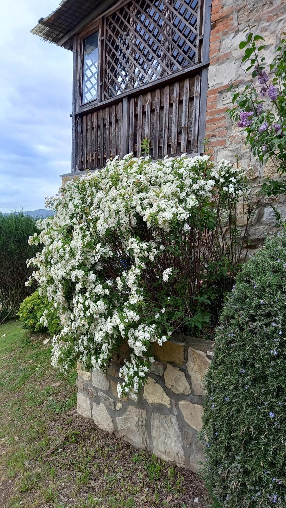 Podere Casalbosco - Idromassaggio E Panorama 라폴라노테르메 외부 사진